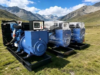 Common Causes Analysis of Generator Coil Winding Burnout (Divided into Stator...