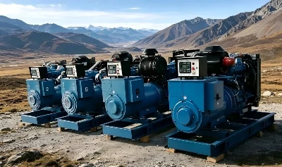 Why do diesel generator sets on the market have such varying prices even for ...